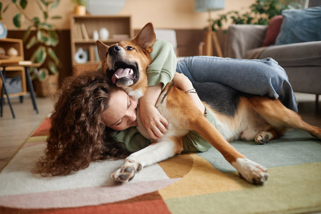 Vital Vitamins for a Tail-Wagging, Healthy Pup!